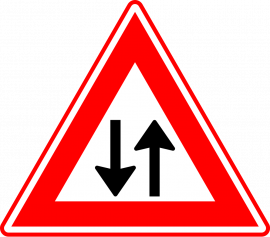 J29